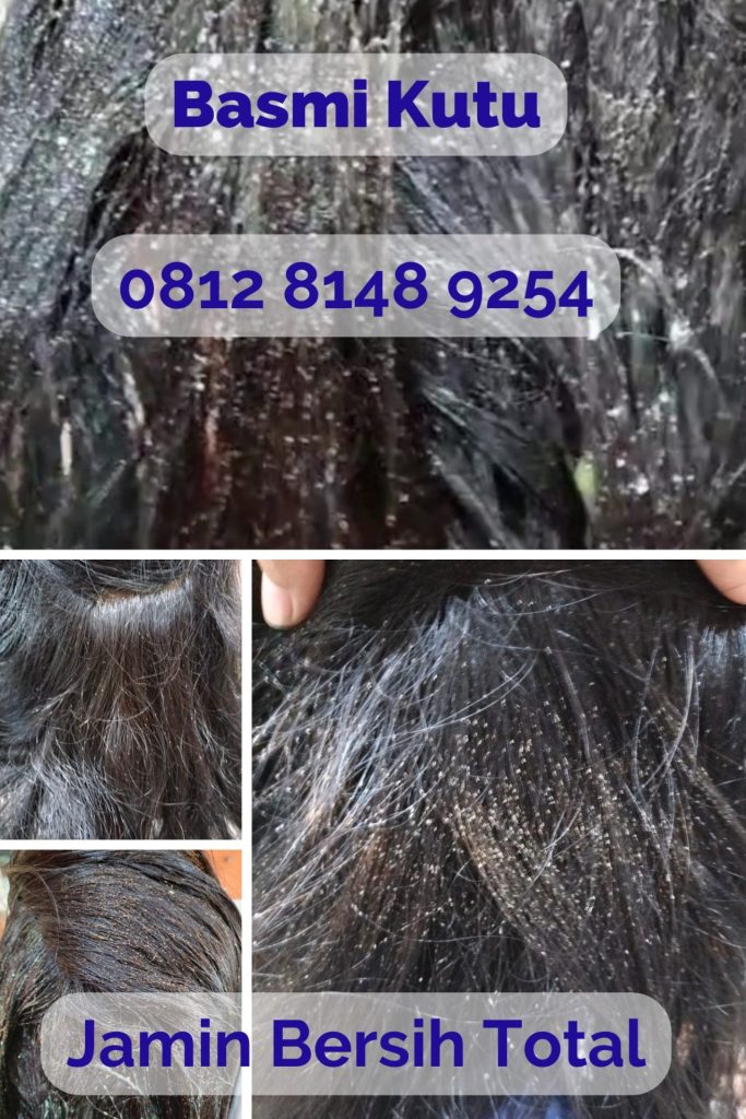 salon kutu bekasi timur