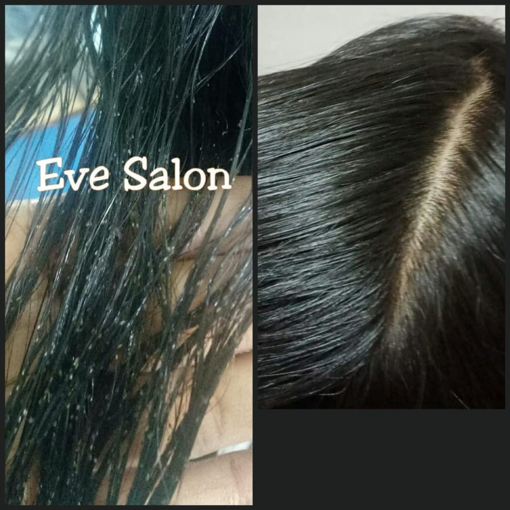 Salon kutu di bekasi barat bagus murah