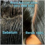 Rekomendasi Salon Kutu Bekasi